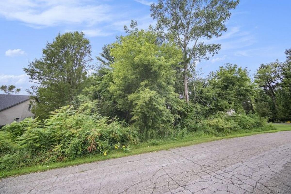 Picture of Residential Land For Sale in Pleasant Lake, Michigan, United States