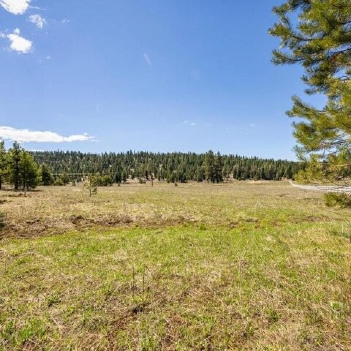 Picture of Residential Land For Sale in McCall, Idaho, United States