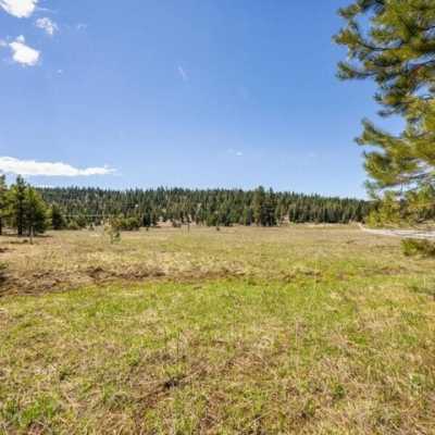 Residential Land For Sale in McCall, Idaho