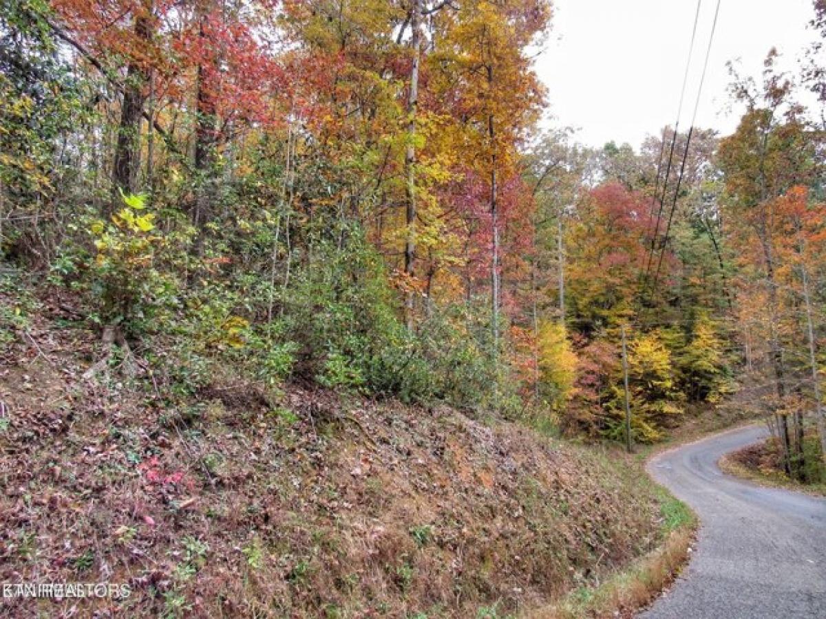 Picture of Residential Land For Sale in Gatlinburg, Tennessee, United States