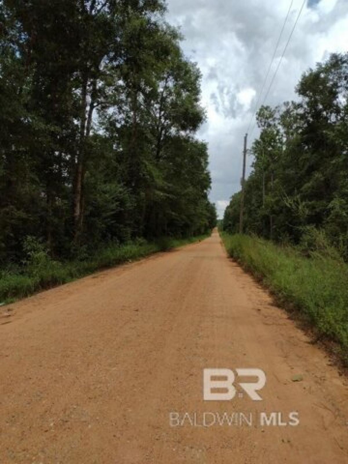 Picture of Residential Land For Sale in Atmore, Alabama, United States