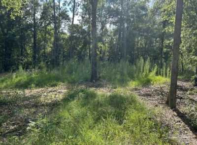 Residential Land For Sale in Cantonment, Florida