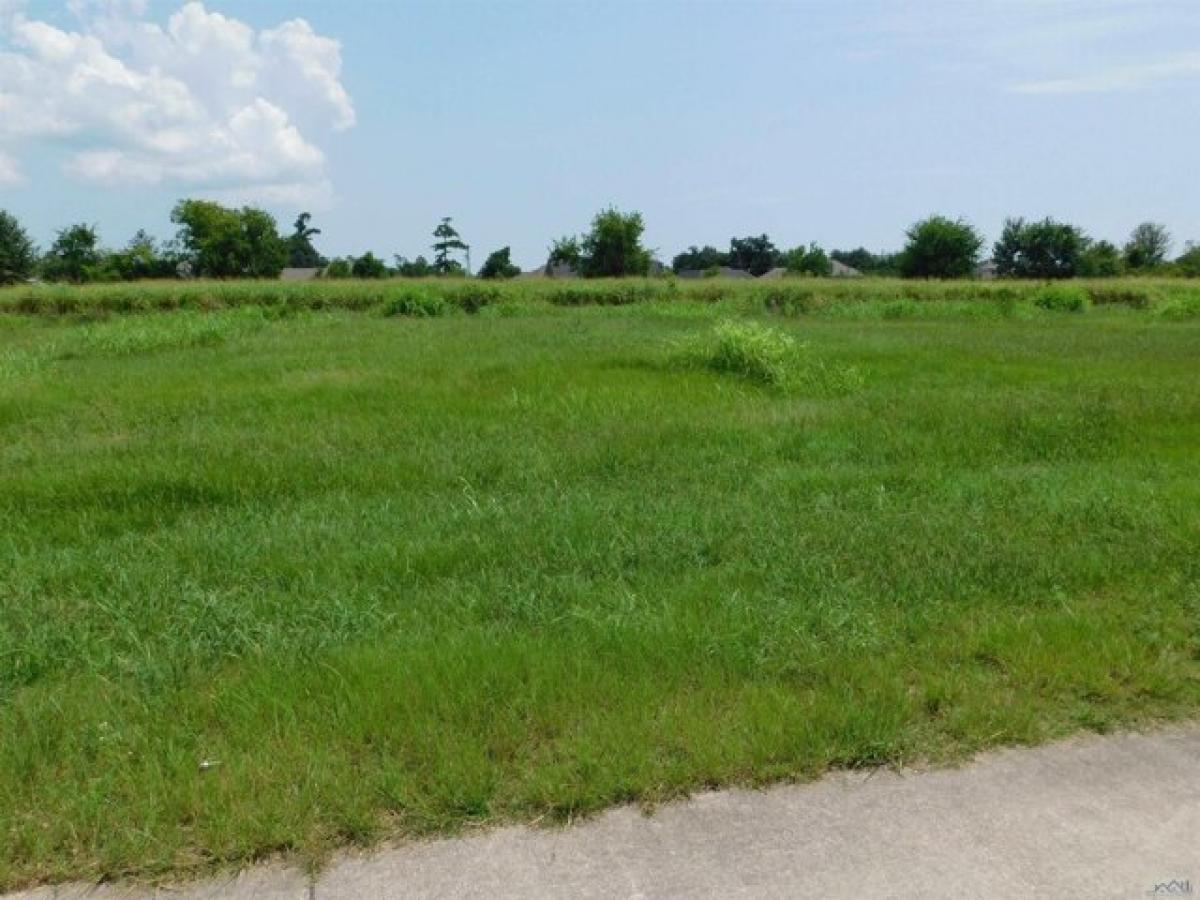 Picture of Residential Land For Sale in Cut Off, Louisiana, United States