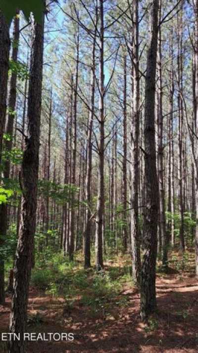 Residential Land For Sale in Rockwood, Tennessee