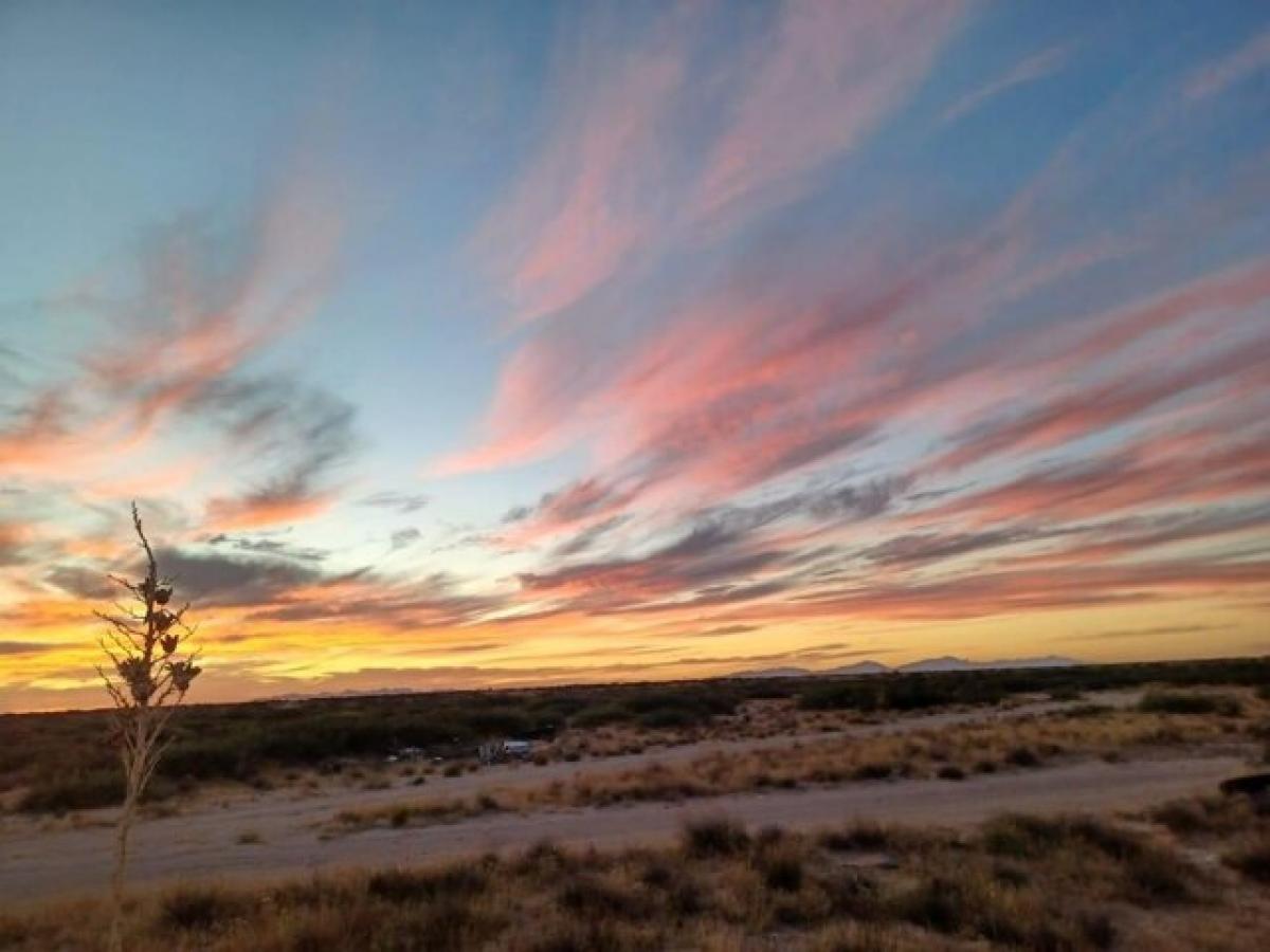 Picture of Residential Land For Sale in Horizon City, Texas, United States