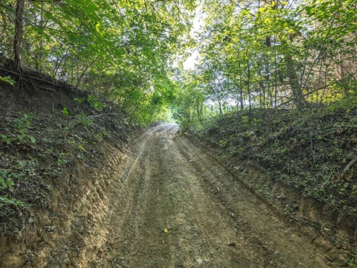 Picture of Residential Land For Sale in Decatur, Texas, United States