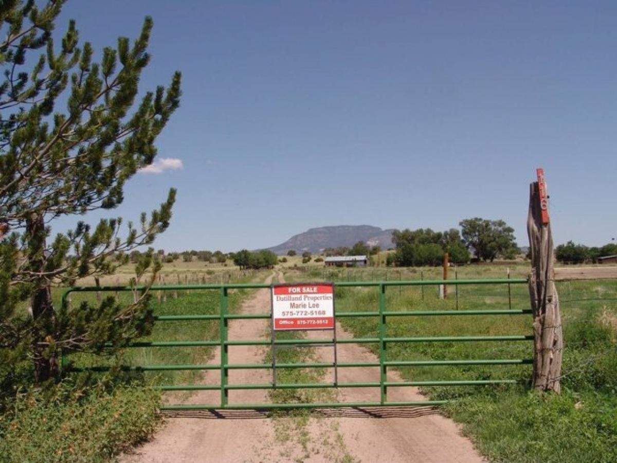 Picture of Home For Sale in Datil, New Mexico, United States