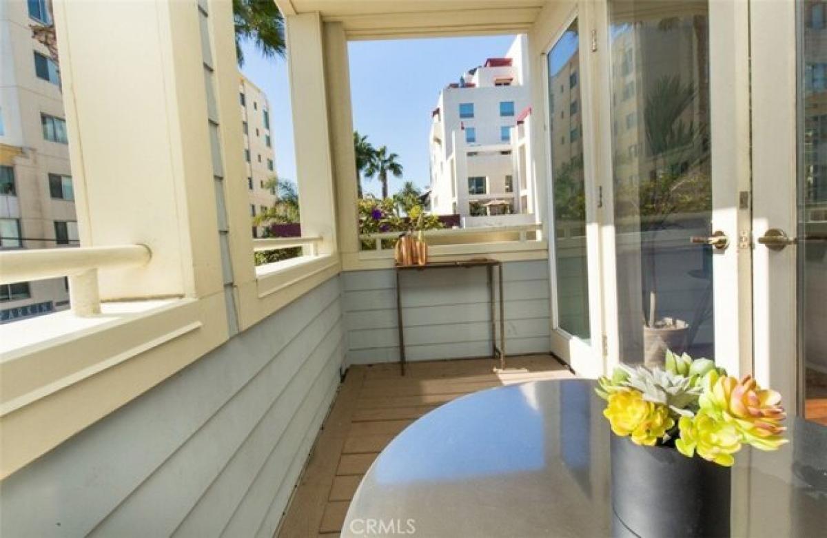 Picture of Apartment For Rent in Santa Monica, California, United States