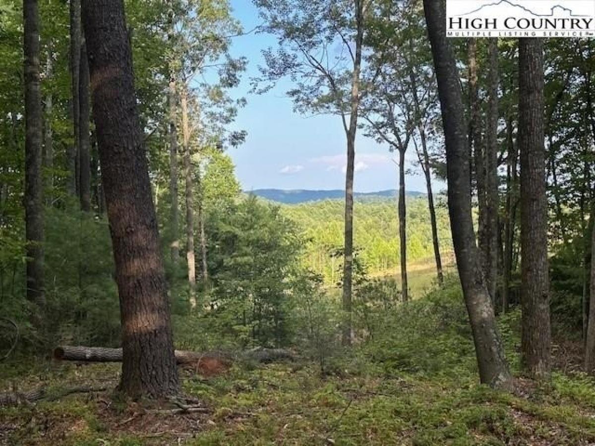 Picture of Residential Land For Sale in Deep Gap, North Carolina, United States