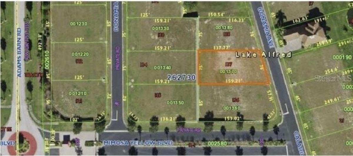 Picture of Residential Land For Sale in Lake Alfred, Florida, United States