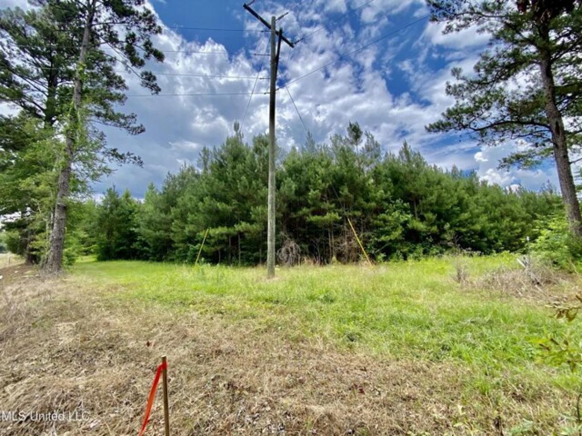 Picture of Residential Land For Sale in Florence, Mississippi, United States