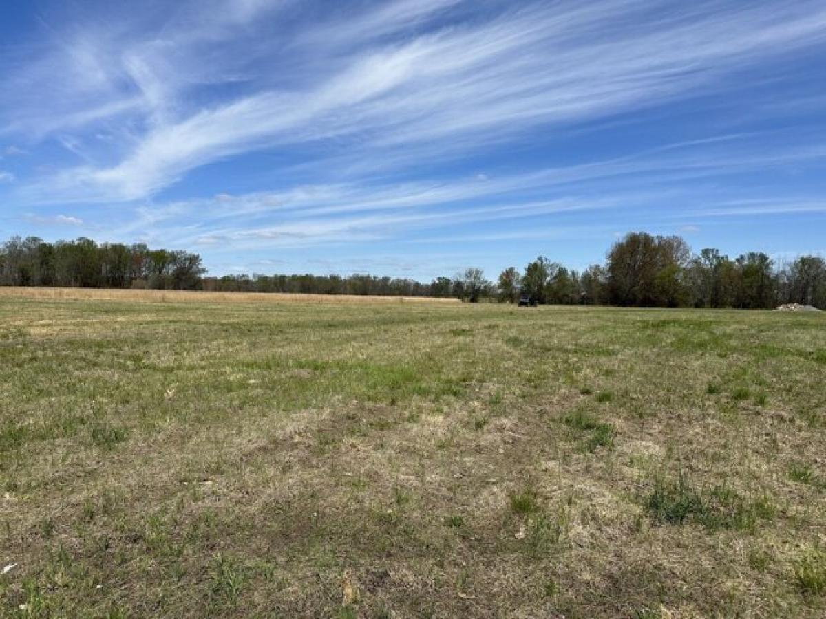 Picture of Residential Land For Sale in Springfield, Tennessee, United States