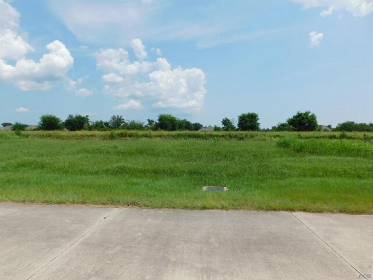 Picture of Residential Land For Sale in Cut Off, Louisiana, United States