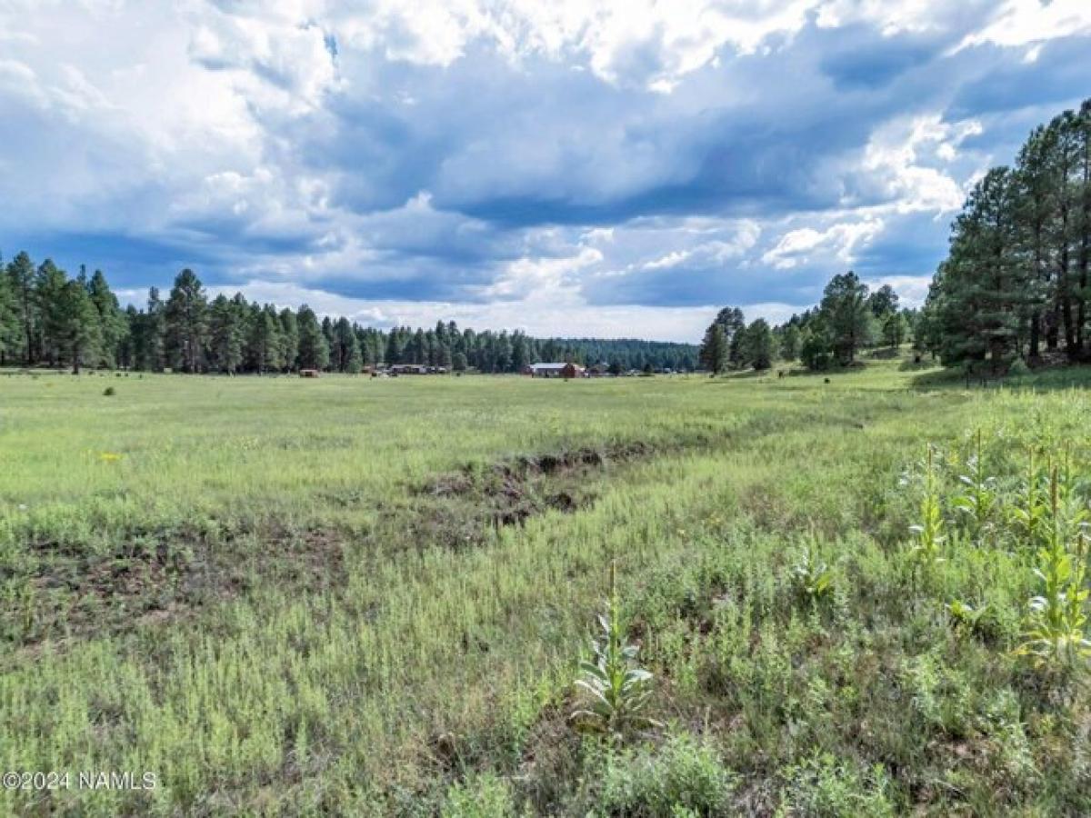 Picture of Residential Land For Sale in Flagstaff, Arizona, United States