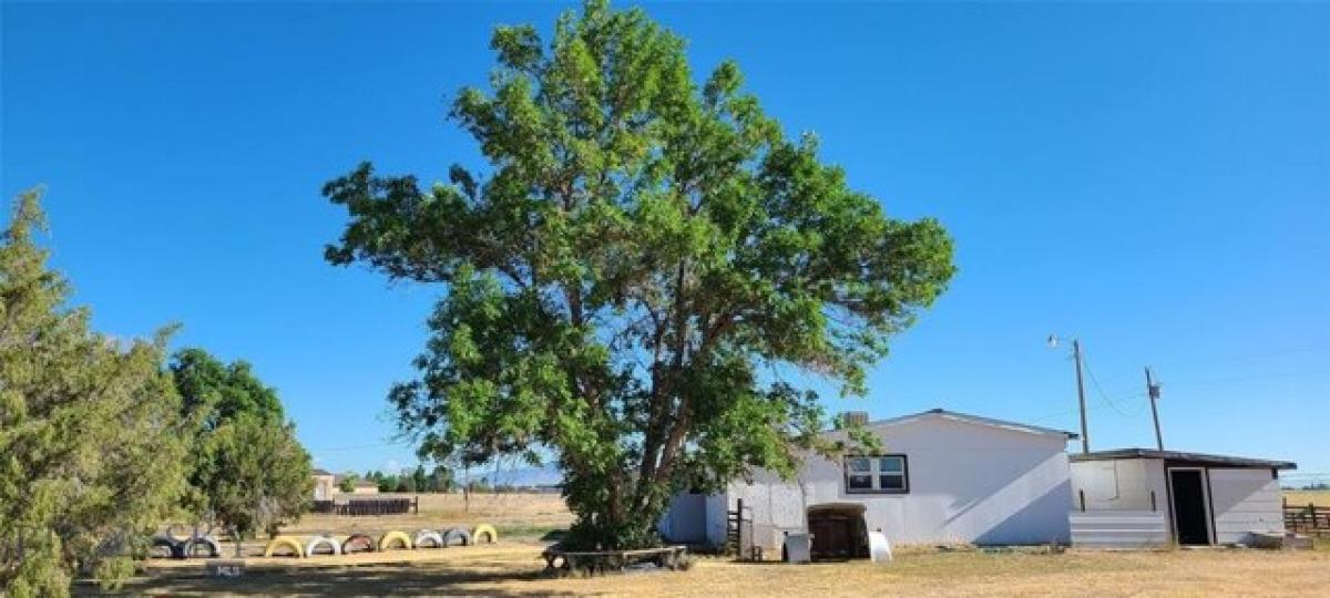 Picture of Residential Land For Sale in Dillon, Montana, United States