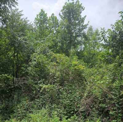 Residential Land For Sale in 