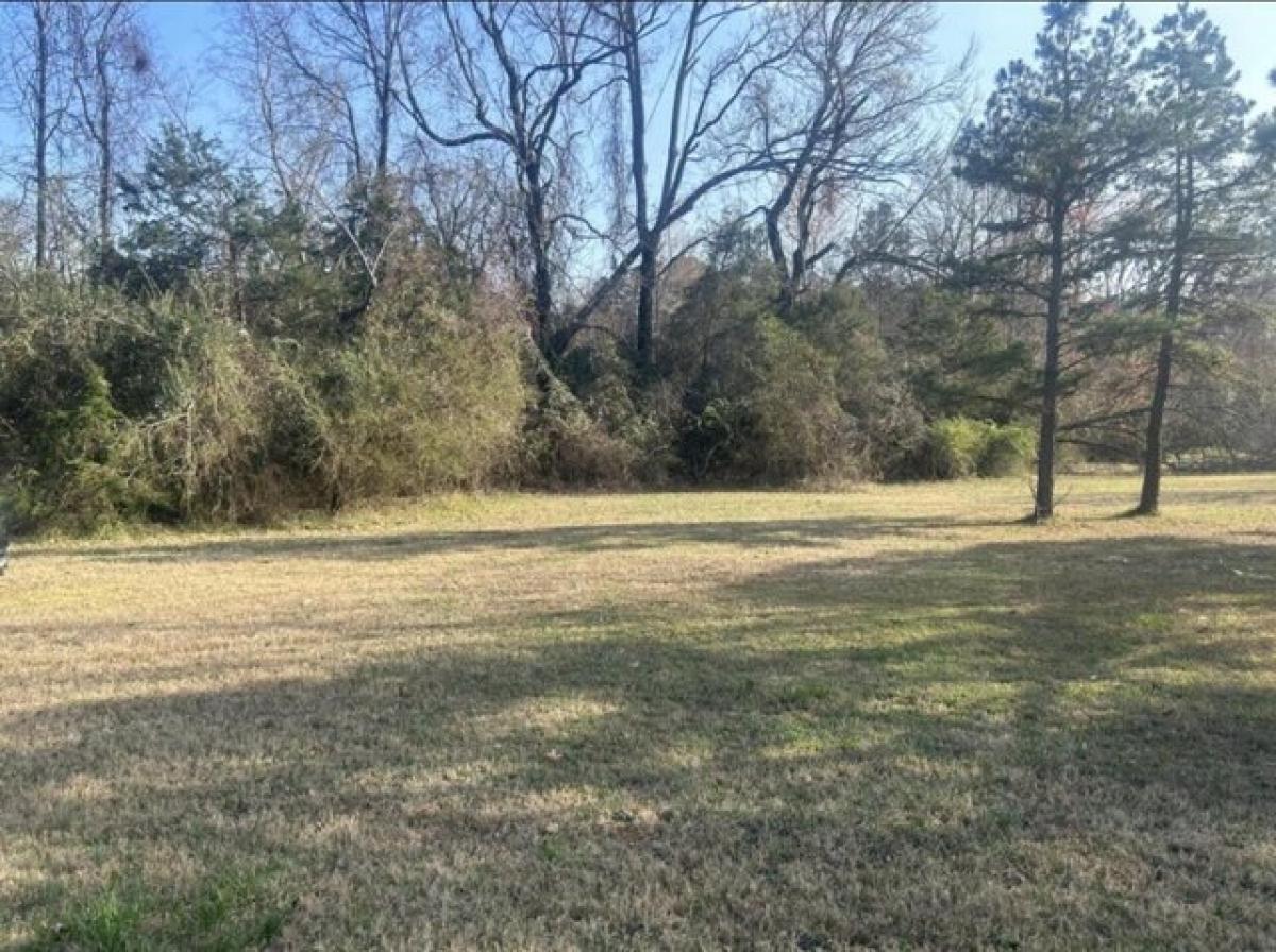 Picture of Residential Land For Sale in Pottsville, Arkansas, United States