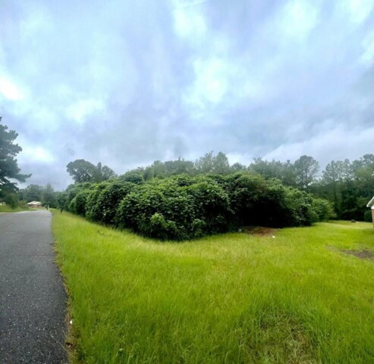 Picture of Residential Land For Rent in Sulligent, Alabama, United States