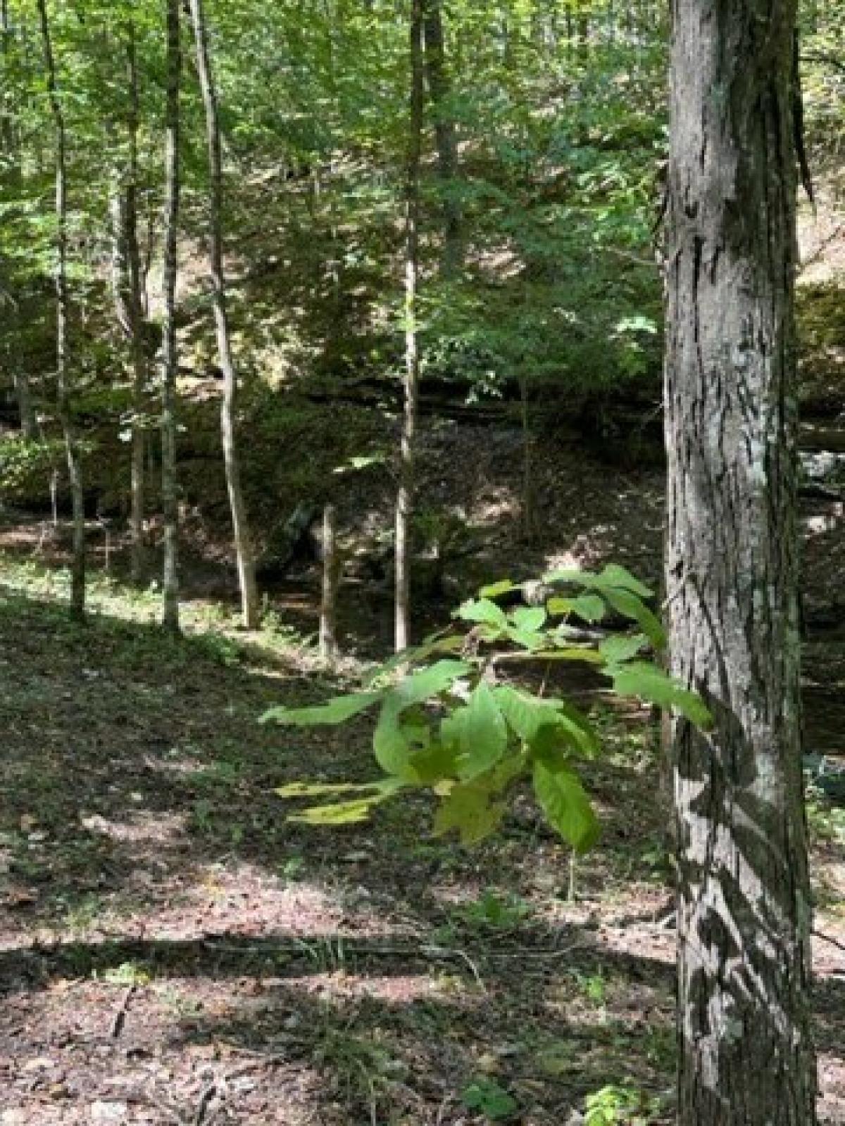 Picture of Residential Land For Sale in Pulaski, Tennessee, United States