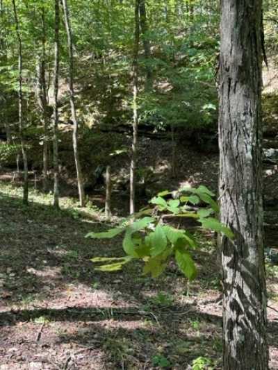 Residential Land For Sale in Pulaski, Tennessee