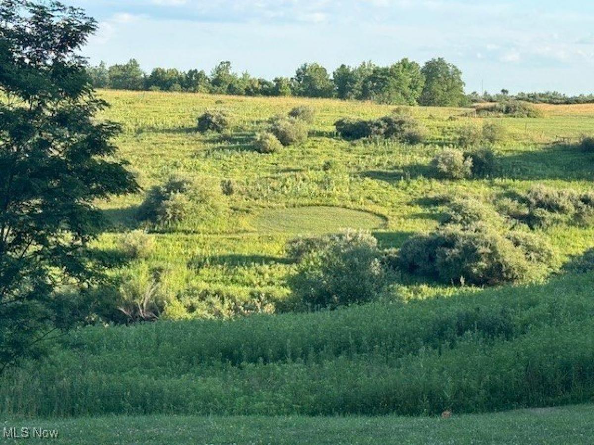 Picture of Residential Land For Sale in Cadiz, Ohio, United States