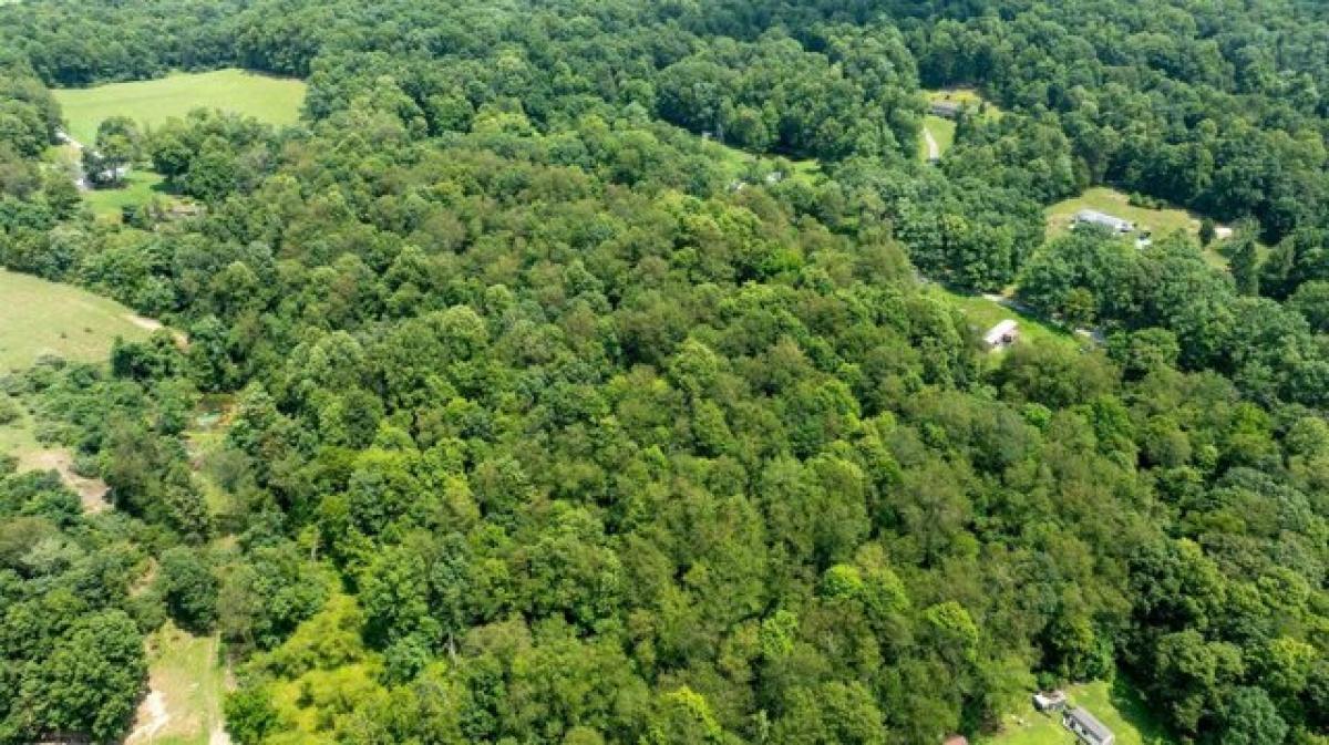 Picture of Residential Land For Sale in Kingwood, West Virginia, United States