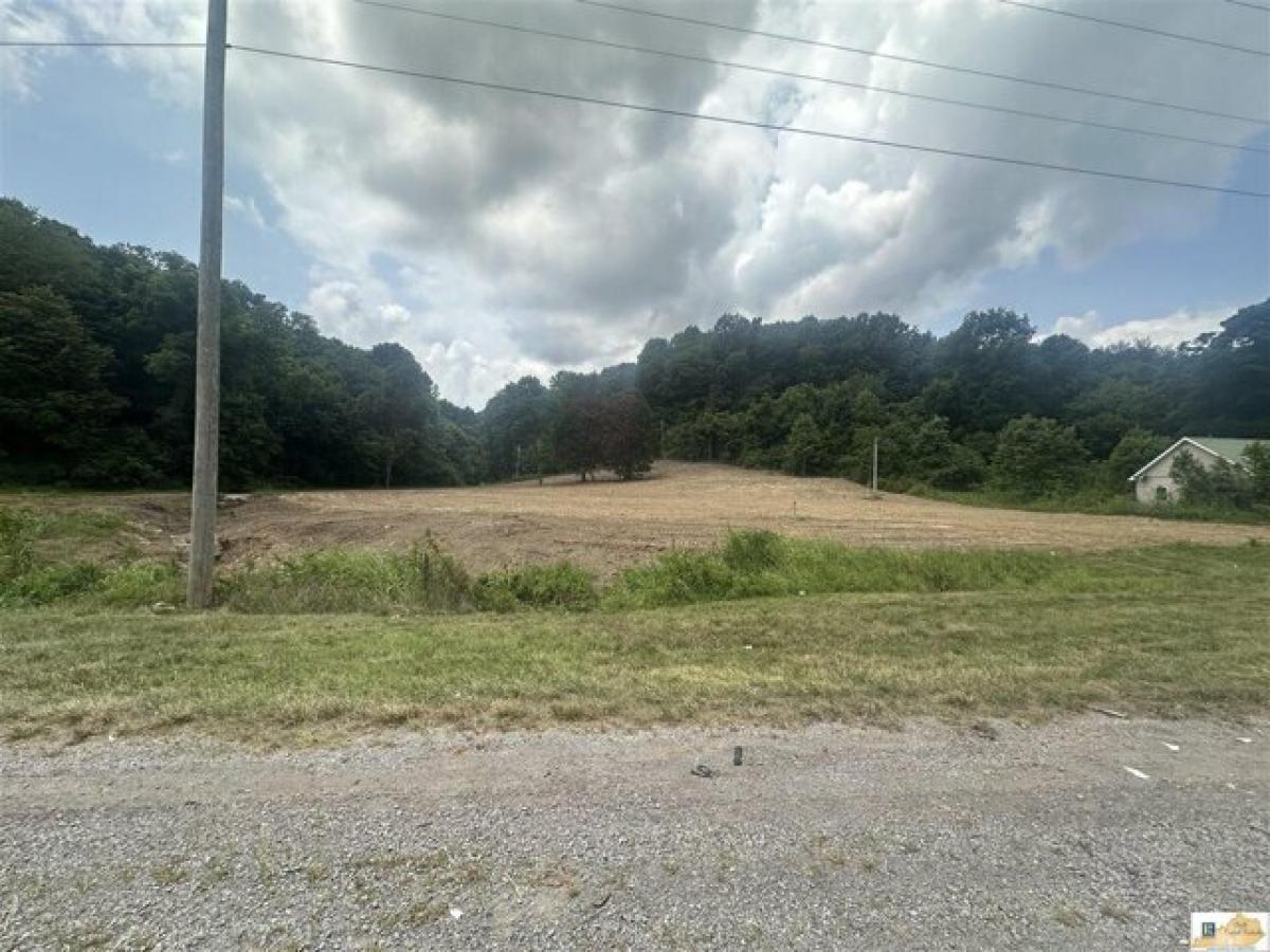 Picture of Residential Land For Sale in Adolphus, Kentucky, United States