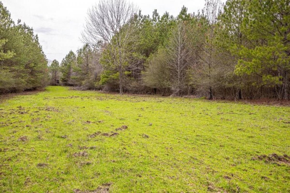 Picture of Residential Land For Sale in Byram, Mississippi, United States