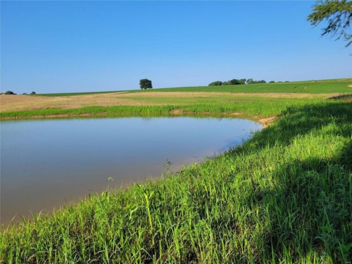 Picture of Residential Land For Sale in Silex, Missouri, United States