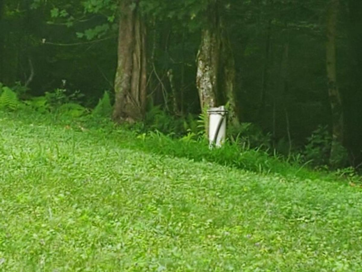 Picture of Home For Sale in Rainelle, West Virginia, United States