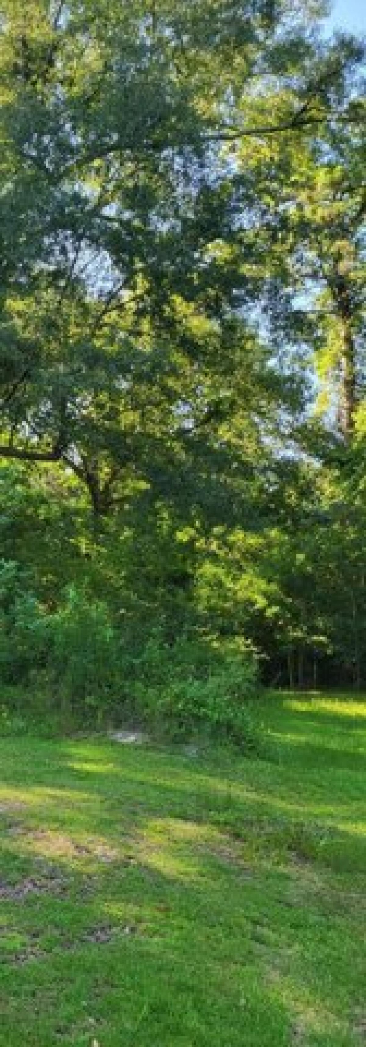 Picture of Residential Land For Sale in Picayune, Mississippi, United States