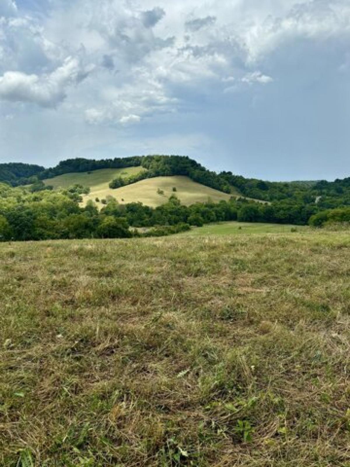 Picture of Residential Land For Sale in Shelbyville, Tennessee, United States