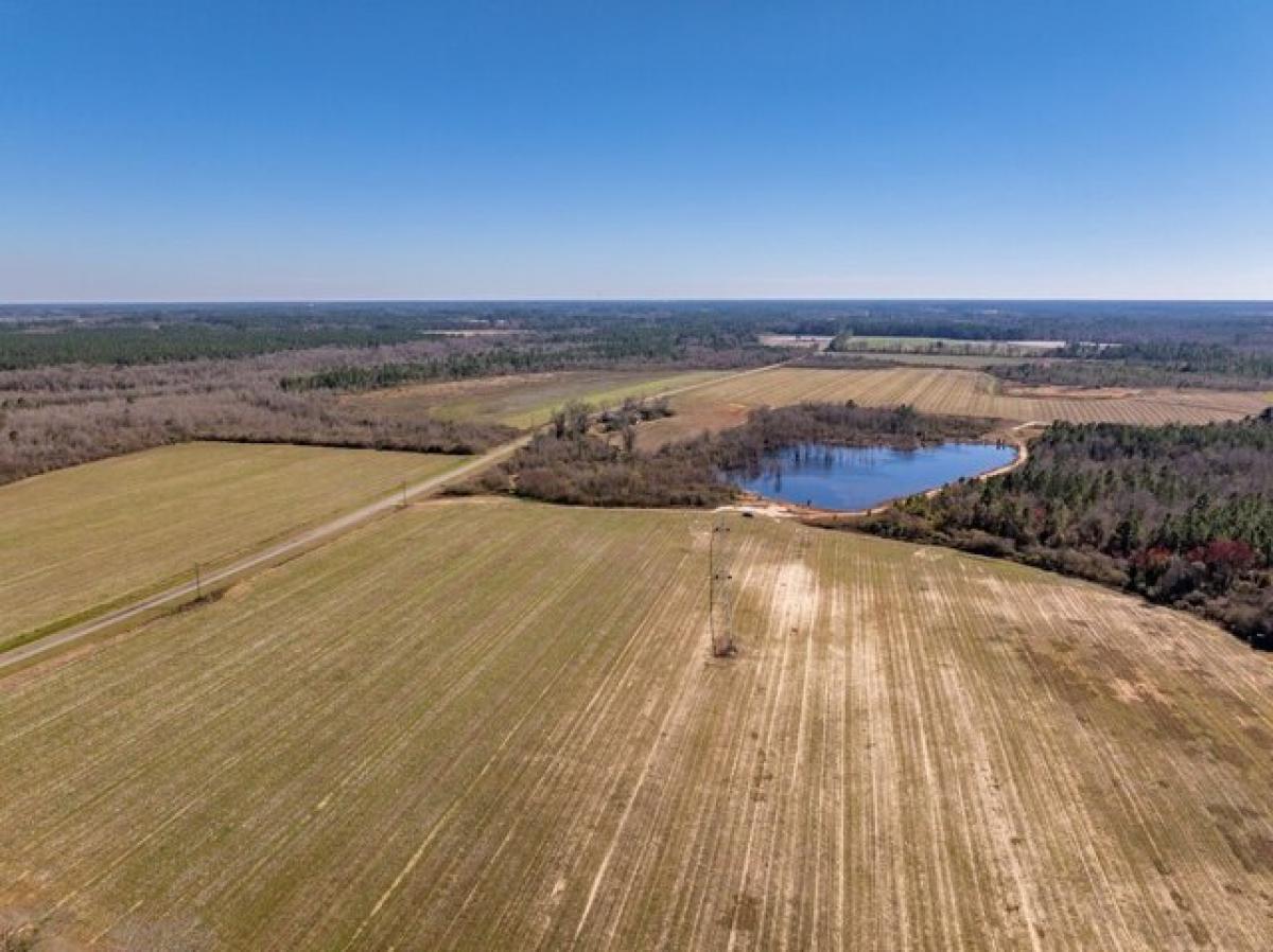 Picture of Residential Land For Sale in Tifton, Georgia, United States