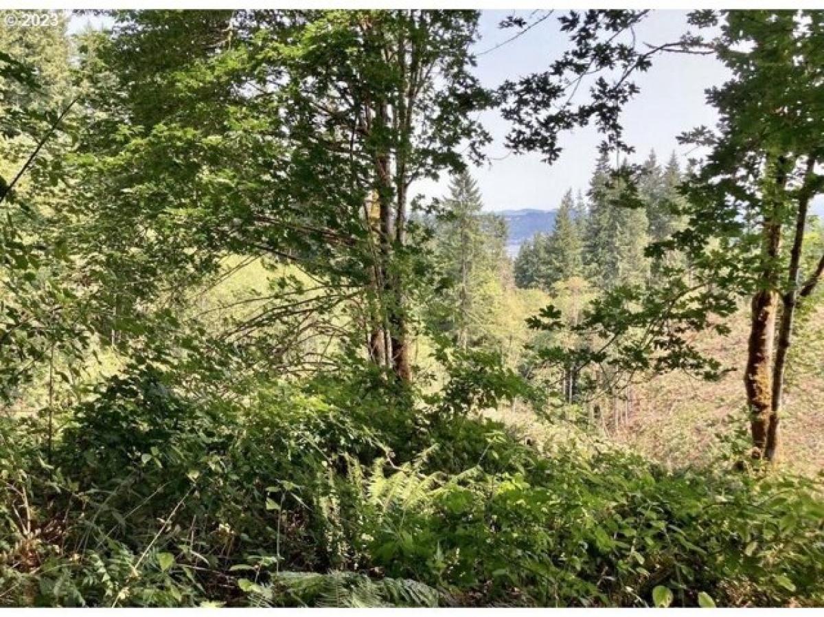 Picture of Residential Land For Sale in Rainier, Oregon, United States