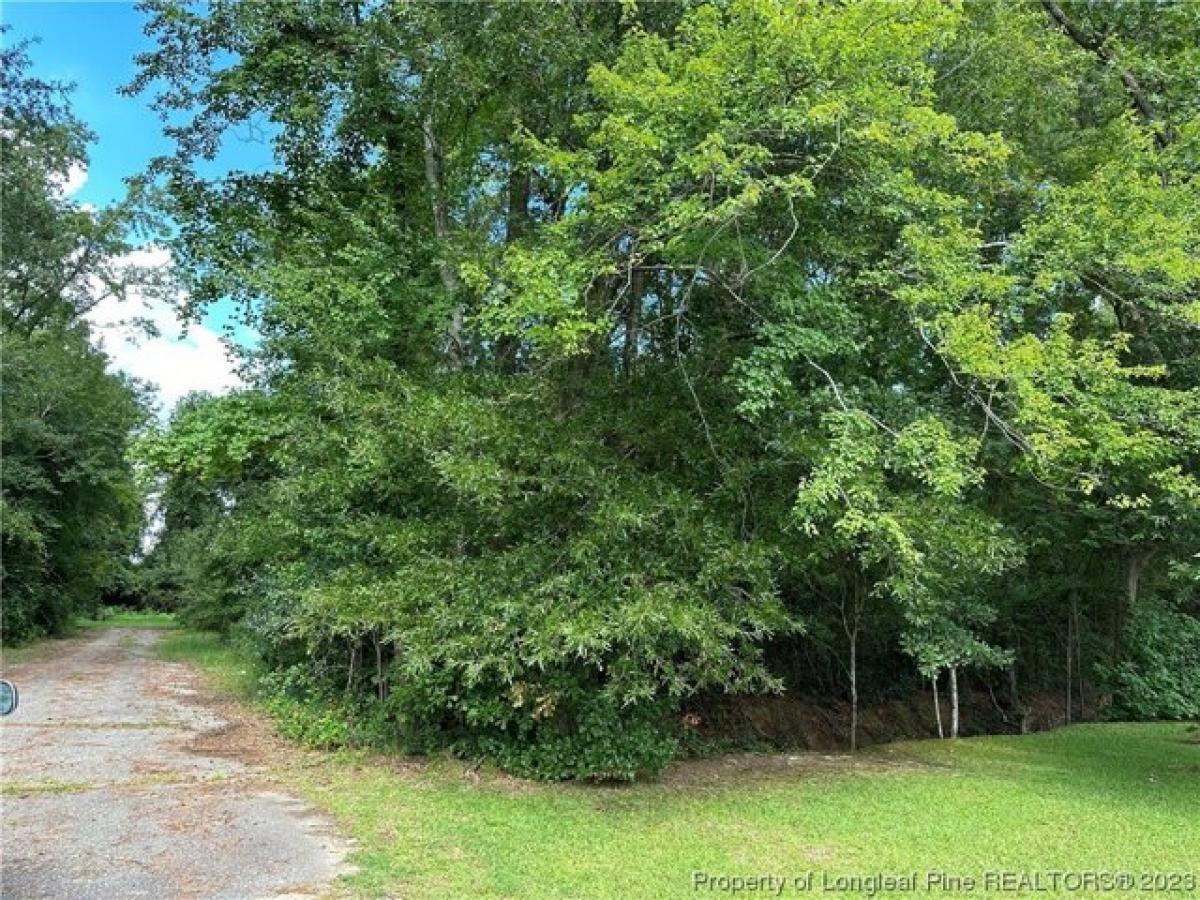 Picture of Residential Land For Sale in Rowland, North Carolina, United States