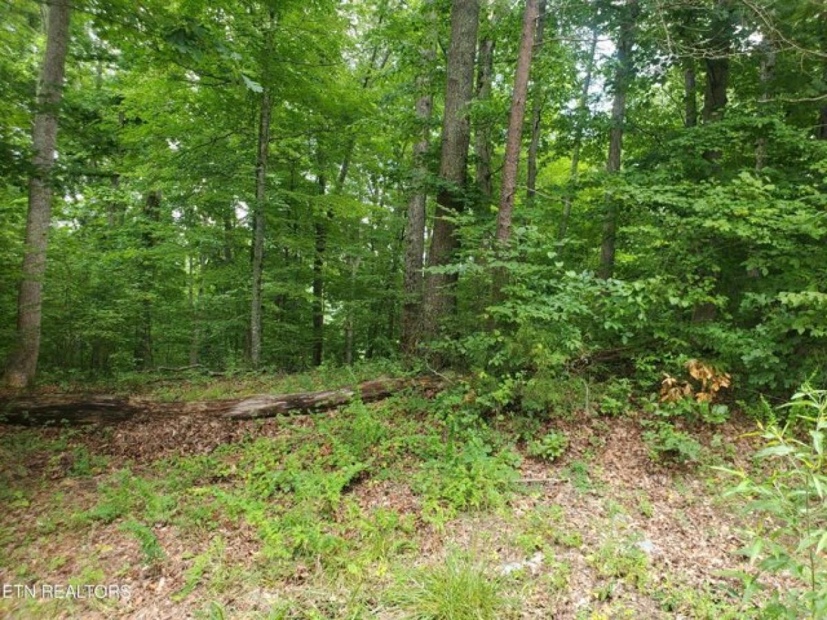 Picture of Residential Land For Sale in Caryville, Tennessee, United States