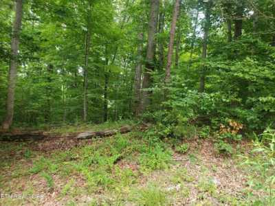 Residential Land For Sale in Caryville, Tennessee