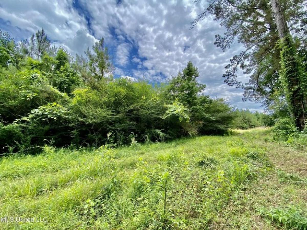 Picture of Residential Land For Sale in Florence, Mississippi, United States