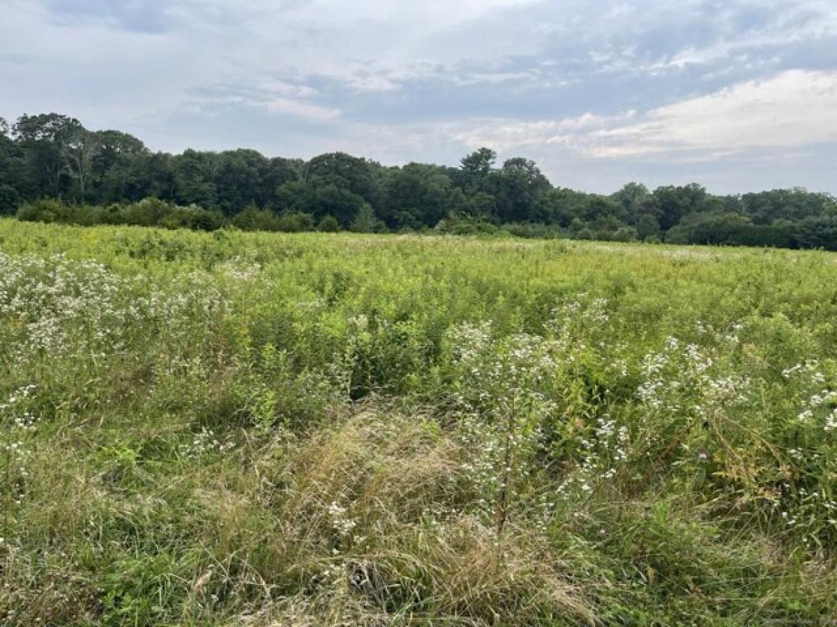 Picture of Residential Land For Sale in North Stonington, Connecticut, United States