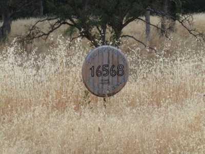 Residential Land For Sale in Corning, California