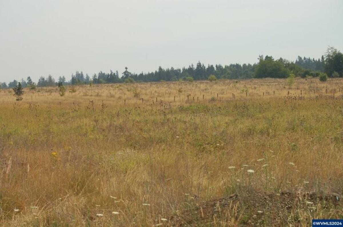 Picture of Residential Land For Sale in Silverton, Oregon, United States