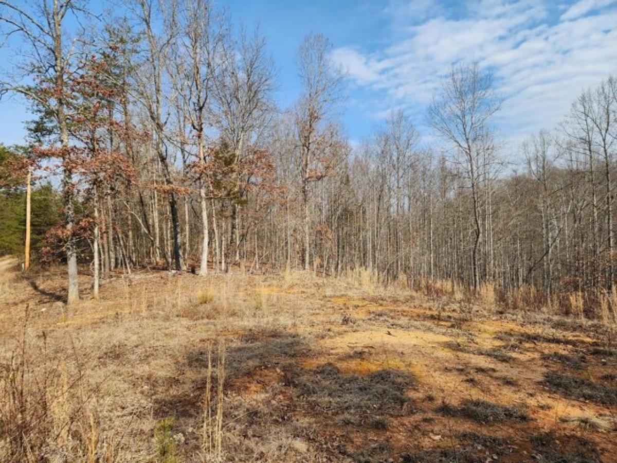 Picture of Residential Land For Sale in Wirtz, Virginia, United States