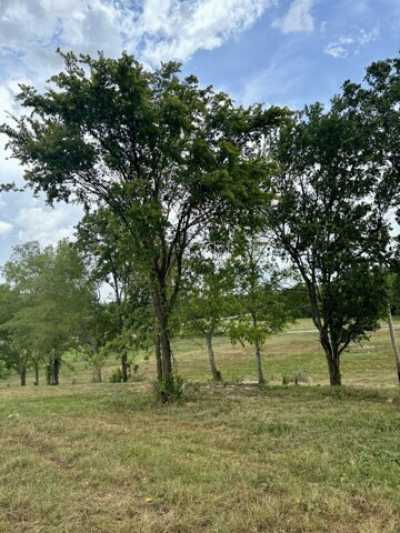 Residential Land For Sale in Shelbyville, Tennessee