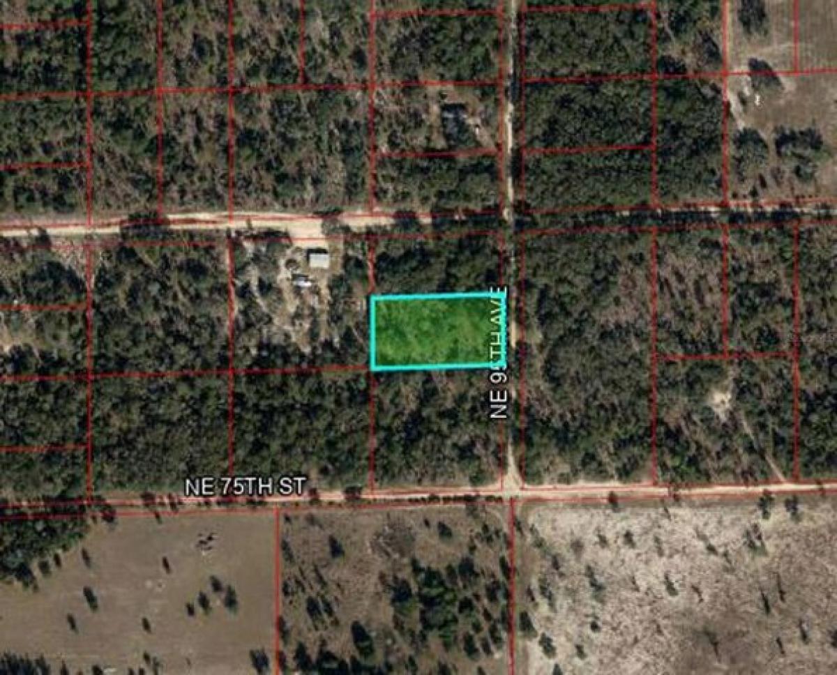 Picture of Residential Land For Sale in Bronson, Florida, United States