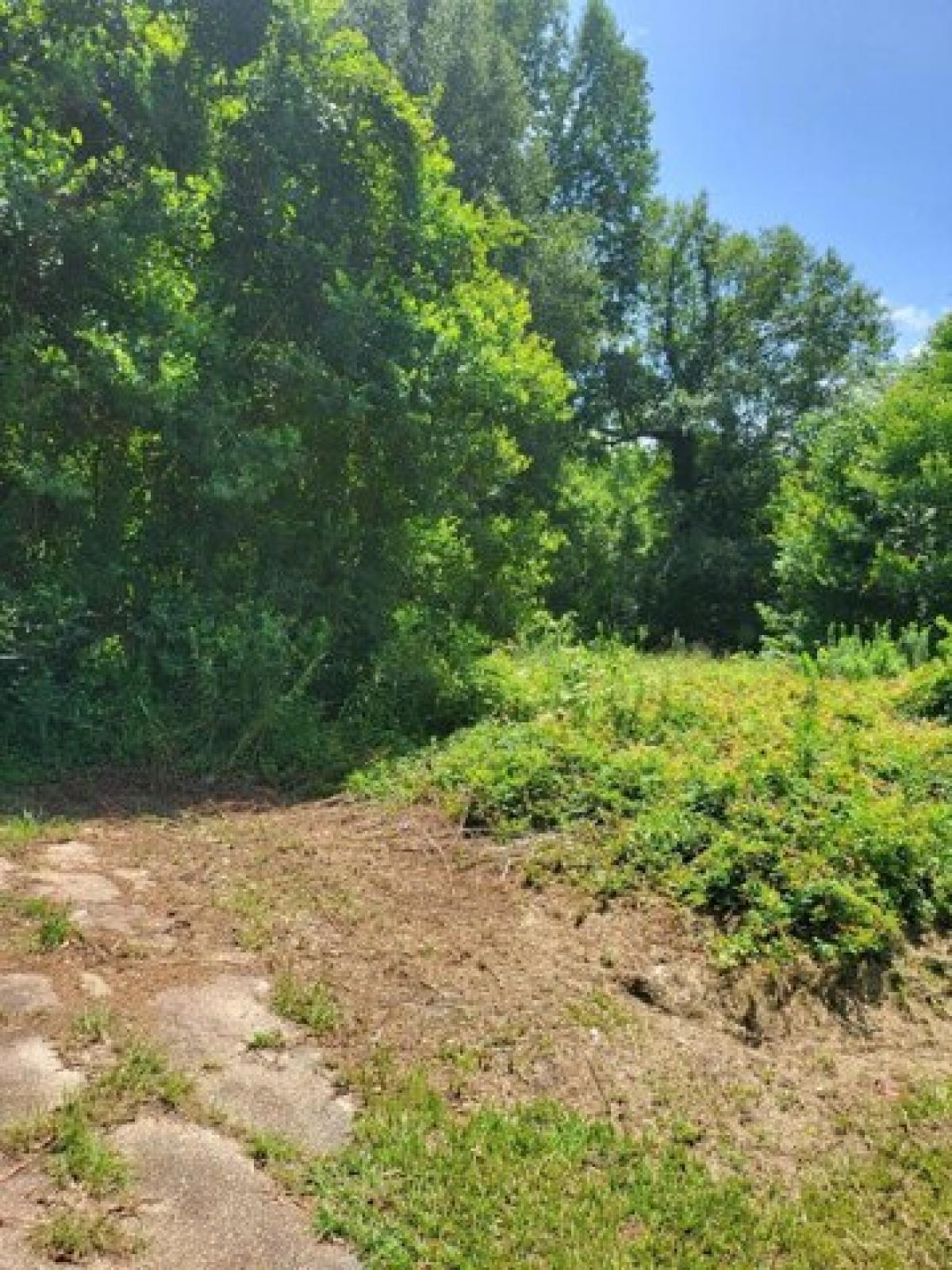 Picture of Residential Land For Sale in Petal, Mississippi, United States