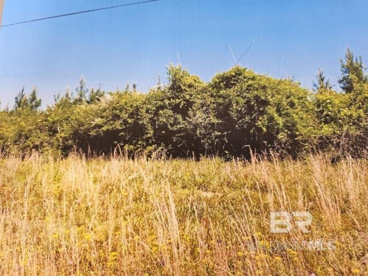 Picture of Residential Land For Sale in Bay Minette, Alabama, United States