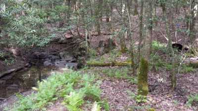 Residential Land For Sale in Rockwood, Tennessee