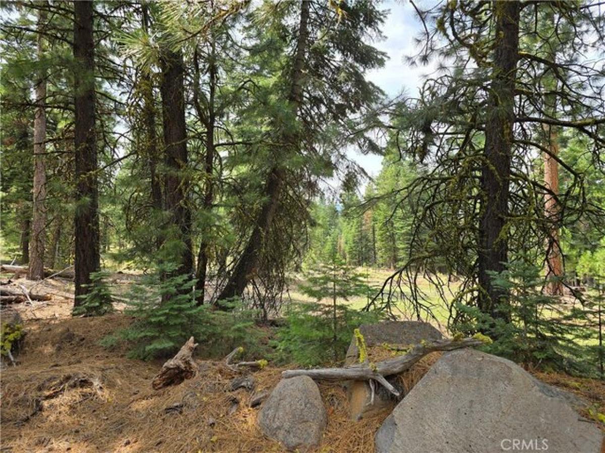 Picture of Residential Land For Sale in Alturas, California, United States