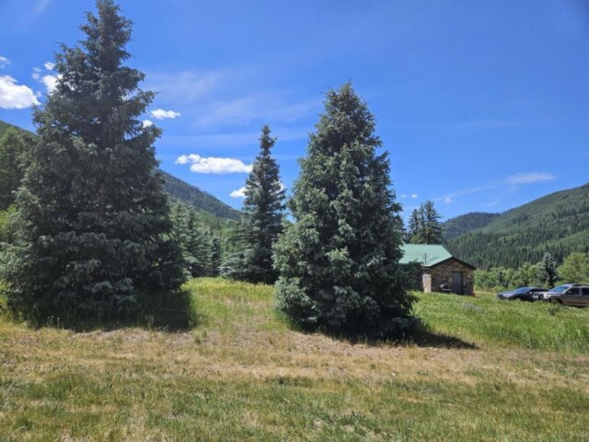 Picture of Residential Land For Sale in Rico, Colorado, United States