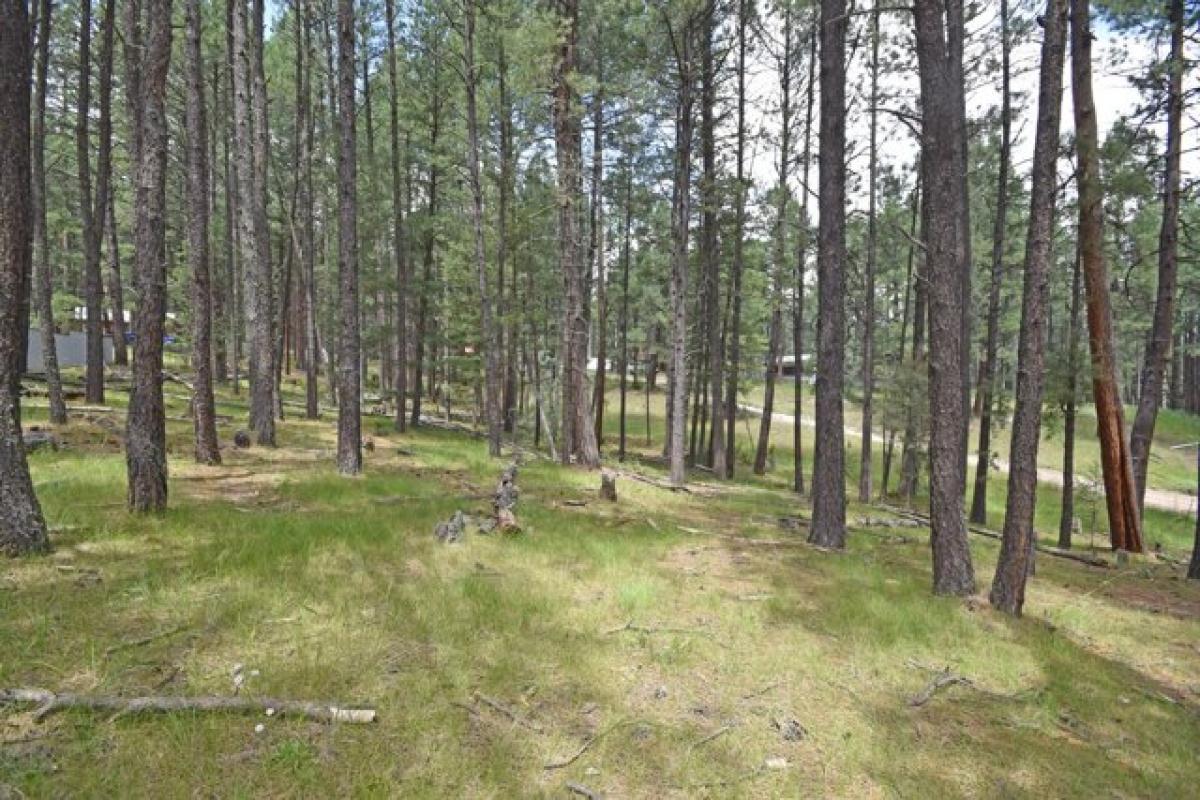 Picture of Residential Land For Sale in Jemez Springs, New Mexico, United States